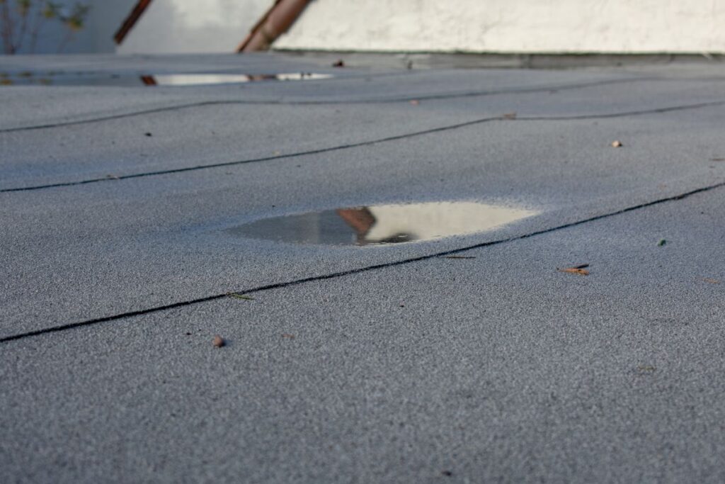 Water pooling on a flat roof