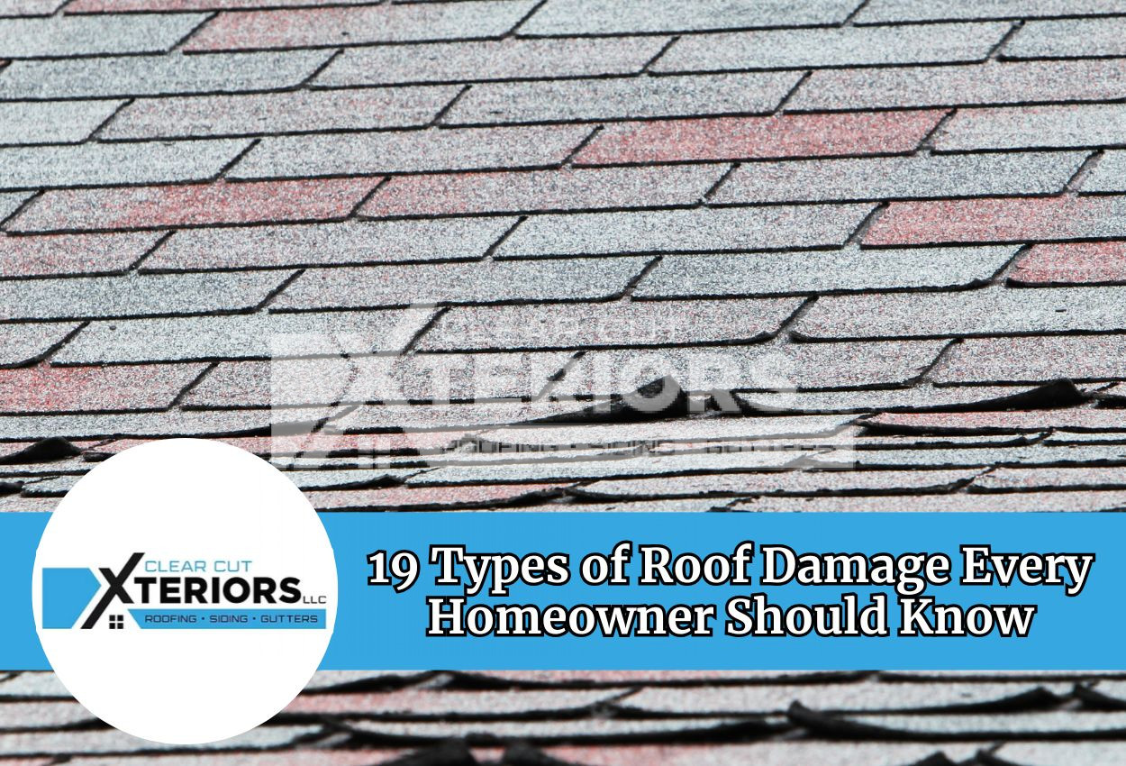 Common Types of Roof Damage